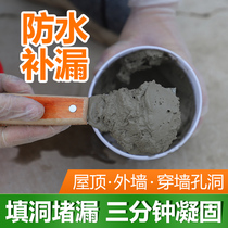 Water-proof leakage material leak-in-toilet roof cracks Leak King Leak King Leak Fast Dry Cement Mortar Leak-proof