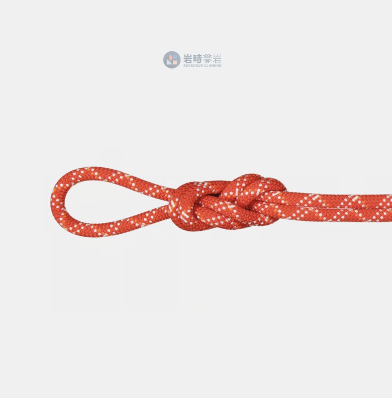 Mammut Mammoth Wild Climbing Rope 9.5 Gym Classic Rope Outdoor Climbing 2010-04260