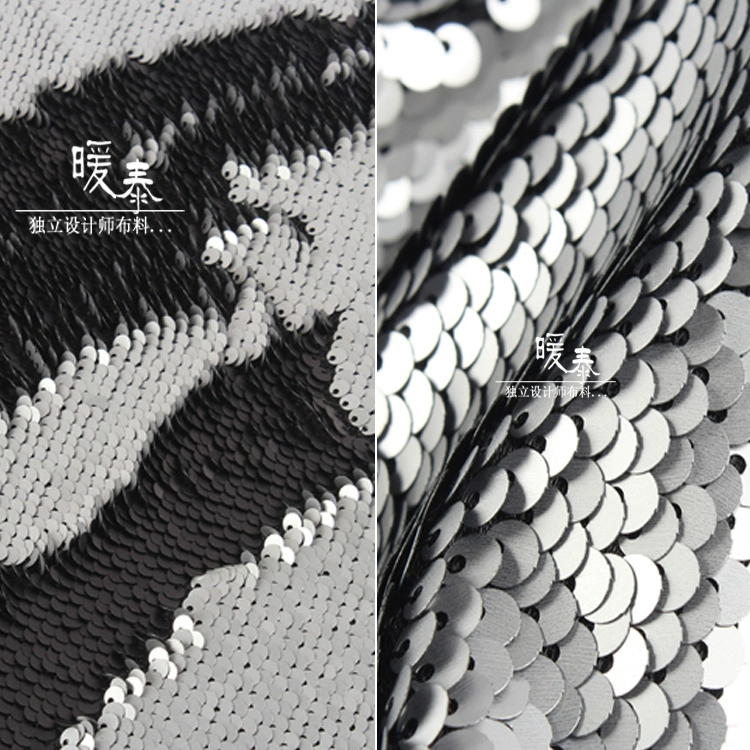 Vải kết cấu kim loại nhỏ hai mặt hai mặt được mã hóa Quần áo thêu sáng tạo tạo mẫu vải thiết kế - Vải vải tự làm