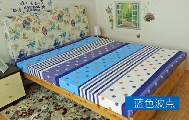 45D mật độ cao bọt dày nệm và 1.2m kinh tế đơn sofa nệm đệm cửa sổ cứng có thể được thiết lập - Nệm nệm nước