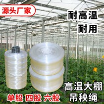 Manufacturer sells new material vegetable greenhouse hanging rope hanging rope