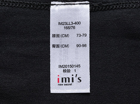 imis03.jpg