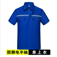 Королевские синие короткие рукава (одиночный топ)