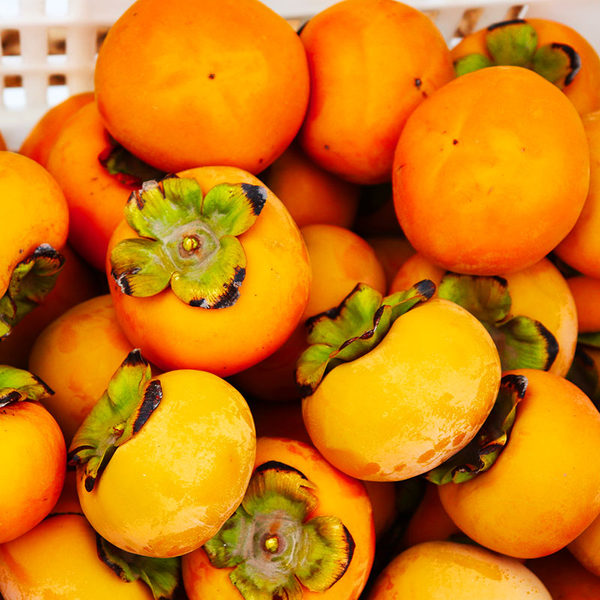 森尚 山西 脆甜柿子 5斤 天猫优惠券折后¥16.8包邮(¥16.8) 森尚 山西 脆甜柿子 5斤 天猫优惠券折后¥16.8包邮(¥16.8)