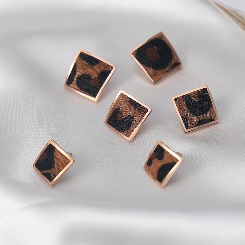 Titanium steel simple square BAO WEN ear pin female earrings temperament Korean tide net red personality niche autumn and winter new earrings