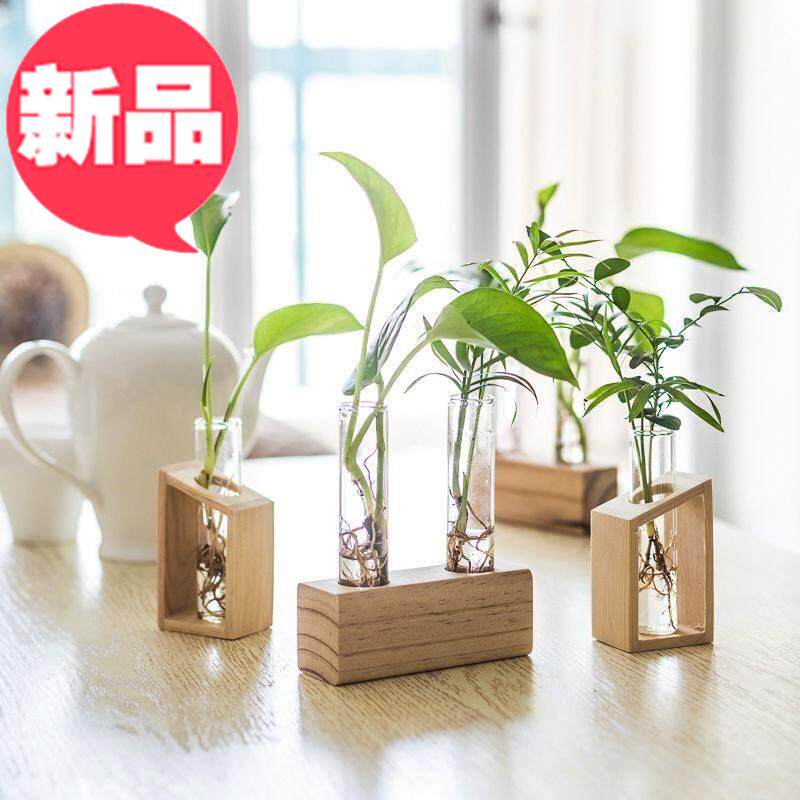 Sofa Cover Hood Creative Glass Test Tube I Container Solid Wood Show Rack Rose Dining Room Living Log Pendulum H  