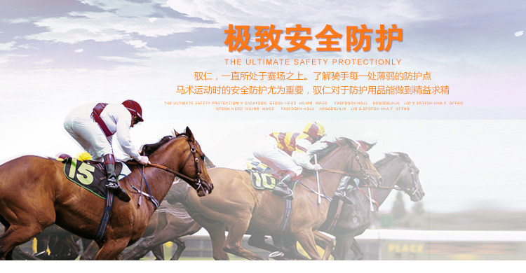 Article sports equestres - Ref 1380448 Image 13