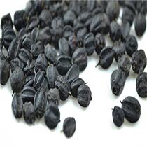 Northeastern Acanthopanax seed wild Acanthopanax fruit fresh raw sun-dried local specialty 500g