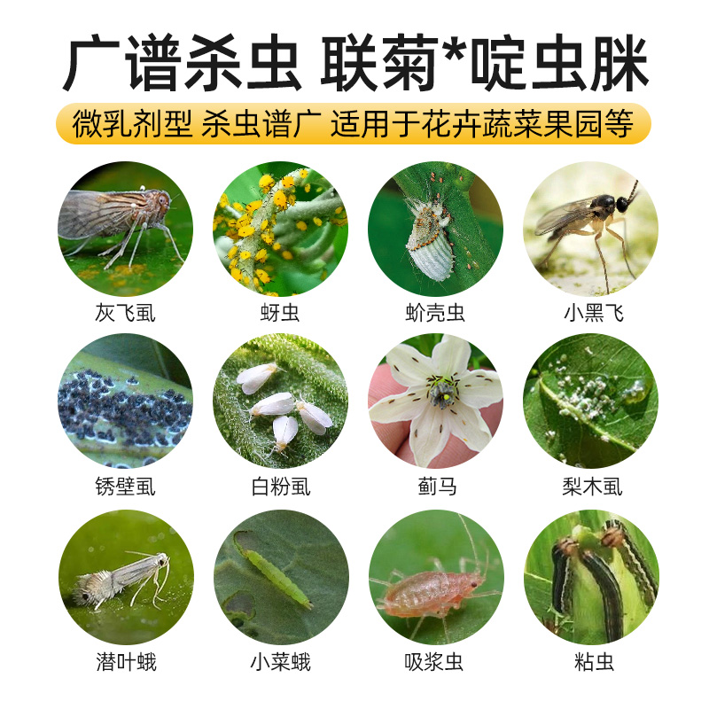 家里养花必备！一文读懂杀虫剂如何拯救你的花卉植物-花卉药剂