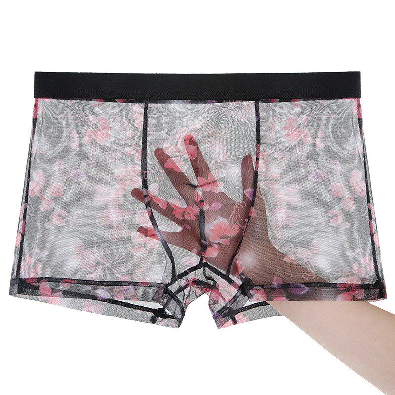 Erotic lingerie sexy passion plus size sheer mesh men's panties super sassy seduction set male physiological penis