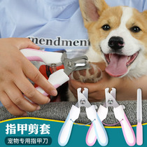 Pet pooch nail clippers nail clippers puppies Scissors Nail Clippers Kittens Kittens Small Dog Theorist Nail Clippers Kokie Gadget