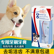 Pooch Toothbrush Toothpaste Suit Teddy Kirky Puppy Pet Clean Teeth Supplies Other Than Stomp Smells Can Be Eaten
