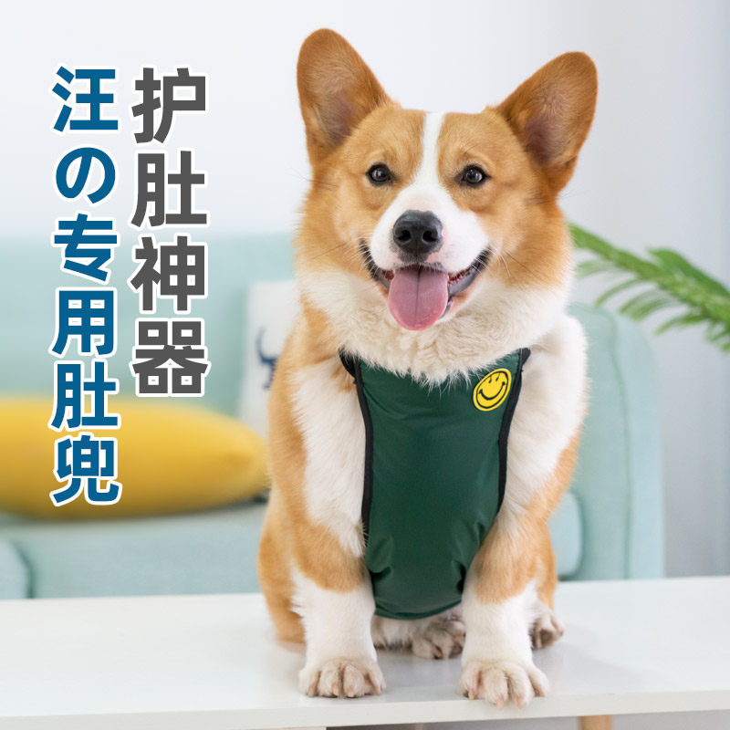 Dog clothes small dog belly corgi apron vest than bear Teddy pet Shiba Inu young French fighting summer thin section