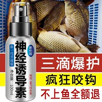 Nerve-Induced Vegetarian Fishing Small Drug Wild Fishing Black Pit Nest Stock Bait Ursolic Acid Lute Fish Carp Pass Kill Fish Bait