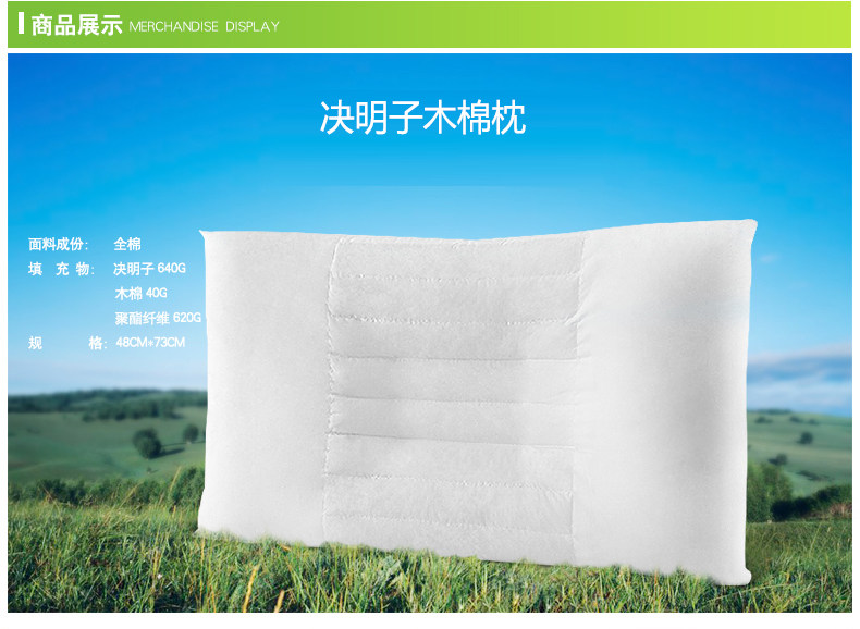 19-00J Cassia+Kapok Pillow -160725_09.jpg