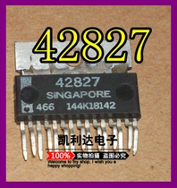 Since 42827 Delphi MT20 red and white plug car engine computer ECU idle speed control module drive chip