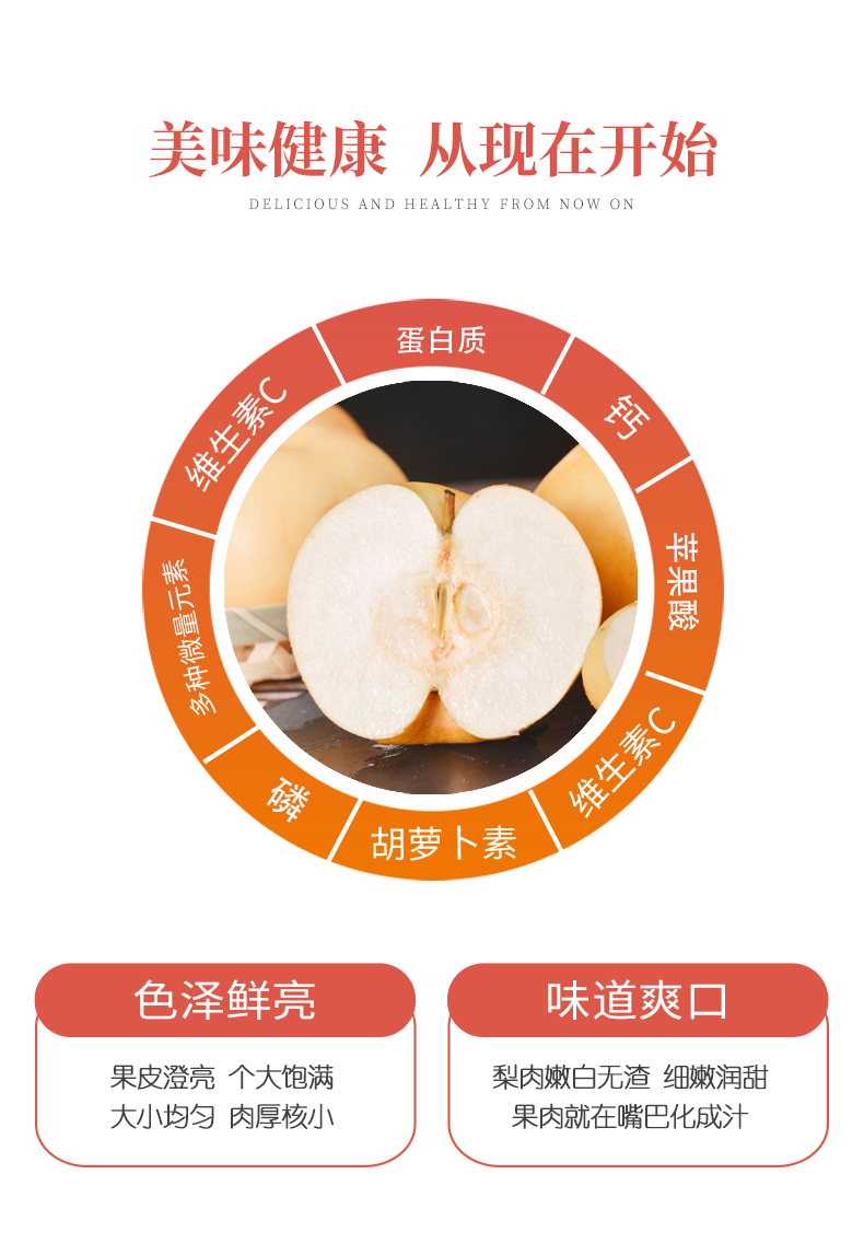 【梨中之皇】正宗山东秋月梨当季新鲜包邮