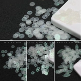 [9 новых продуктов с блестками флэш -порошка]