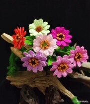 Lanyues yarn flower backgammon flower material package (without crochet)