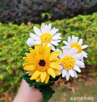 Blue moon family wool flower tip-petal small daisy (without crochet and vase)Novice careful shooting is difficult