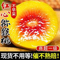 Authentic Sichuan Red Heart gooseberry fresh 30 large fruit whole boxes Shunfeng bizarre when pregnant women fruit sweets