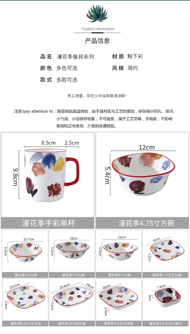 Japanese youth through creative ceramic tableware suit household 10 inch flat disk beefsteak plate of western dishes