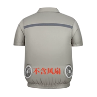 Короткий серой