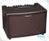 Loa Roland Acoustic AC60 AC60R60 AC-60RW Loa phát âm thanh - Loa loa loa đứng Loa loa
