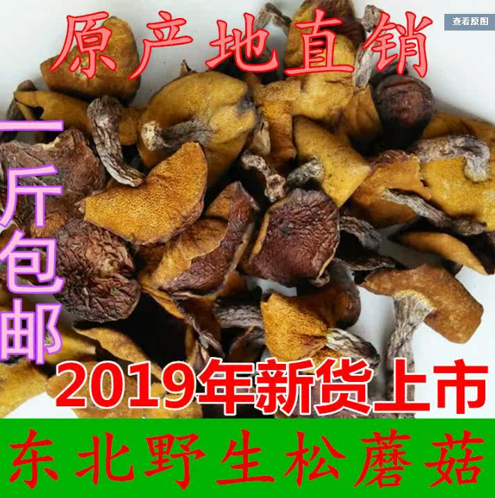 Northeastern Terrosei Wild Mushrooms Pine Mushrooms Pine Mushrooms Sticky Moth Mucus to Songko Pine Mushroom for a catty