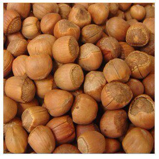 Hazelnut Wild Hazelnut Raw Hazelnut Pastel Hazelnut 10 88 yuan 250 grams of new goods are ripe all