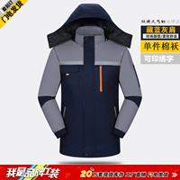 Тибетская синяя серая плеч