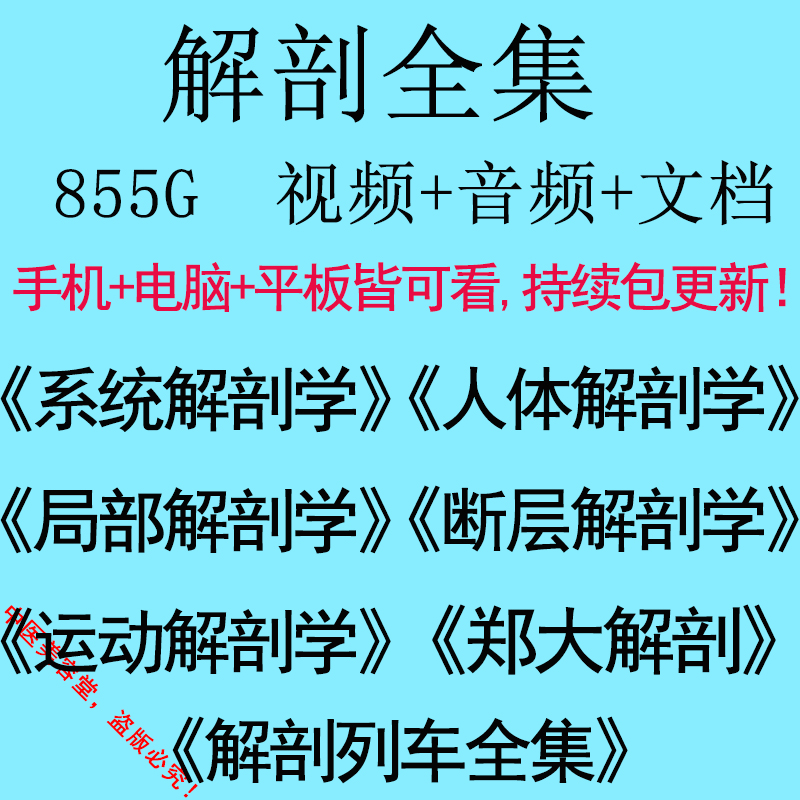 Anatomy Train Course Human Partial Tomographic System Movement Li Zhe Dynamic Assessment Zheng Da's Anatomy Videos Complete Works