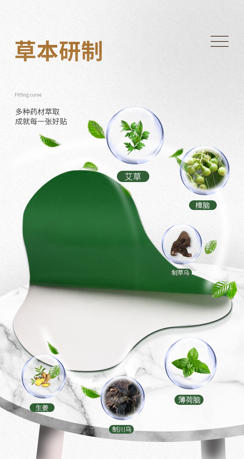 中华老字号 南京同仁堂 臻宛艾  艾草肩颈腰腿疼痛贴 12贴 图3