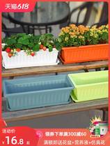 Rectangular Flower Pot Plastic Species Vegetable Theorizer Family Balcony Long Strip Flower Trough Vegetable Basin Clear Bin Cultivation Special Case