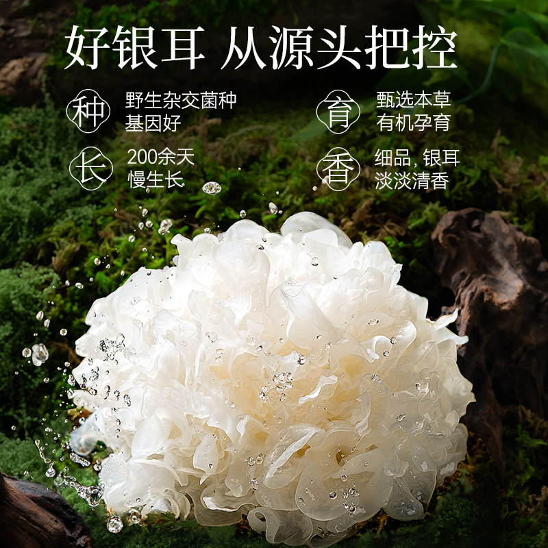 [Combined Pack] Pujiang Organic Selenium-Rich Herbal Tremella Dried Goods, Gutian Herbal Tremella Shreds, 3 Cans