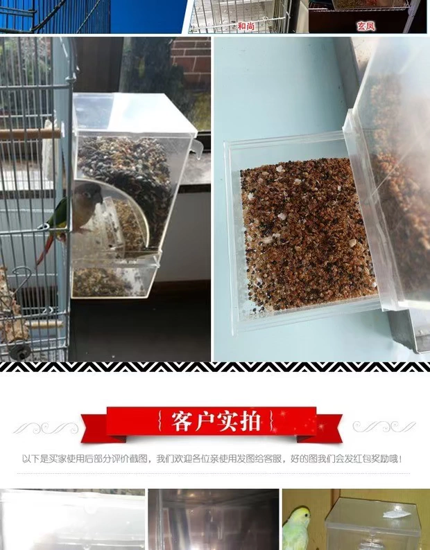 Parrot chim thức ăn máng uống ban công chim trung chuyển thức ăn hộp thức ăn cung cấp thiết bị chim bồ câu người dùng chim ngoài trời sân - Chim & Chăm sóc chim Supplies