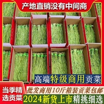 Tribute vegetables new goods whole box special grade 10 pounds commercial dried moss vegetables farmers specialty dehydrated vegetables dishes hot pot restaurant