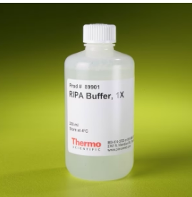 含票Thermo赛默飞 RIPA裂解和提取缓冲液89900 100ml 89901 250ml