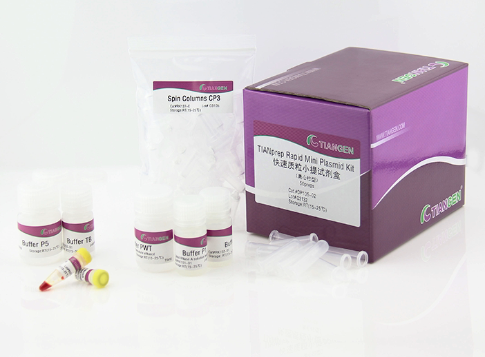 TIANGEN天根 快速质粒小提试剂盒 DP105-02 50次 DP105-03 100次