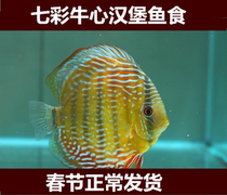 Colored Fish Food for Hamburg Homeland Egyptian Fish Food Quarantine Castle Coloring Feed