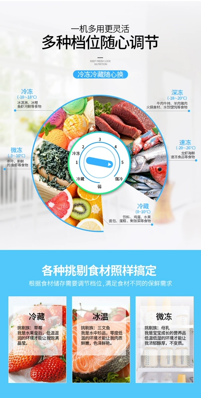 SNOWSEA / Xiangxuehai BD / BC-568A Tủ đông lạnh công suất lớn hộ gia đình thương mại tủ lạnh tiết kiệm năng lượng - Tủ đông