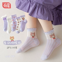 Purple Bear - 5 Dual -Pack [2024 весна и летняя новая сетка]