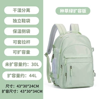 [Пятно в горячем продаже] 5359 видов травы