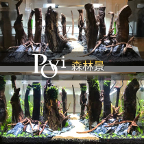 povi aquatic tank landscaping straight sinking Wood Green Dragon stone skeleton package aquatic tank forest landscape rainforest landscape design customization