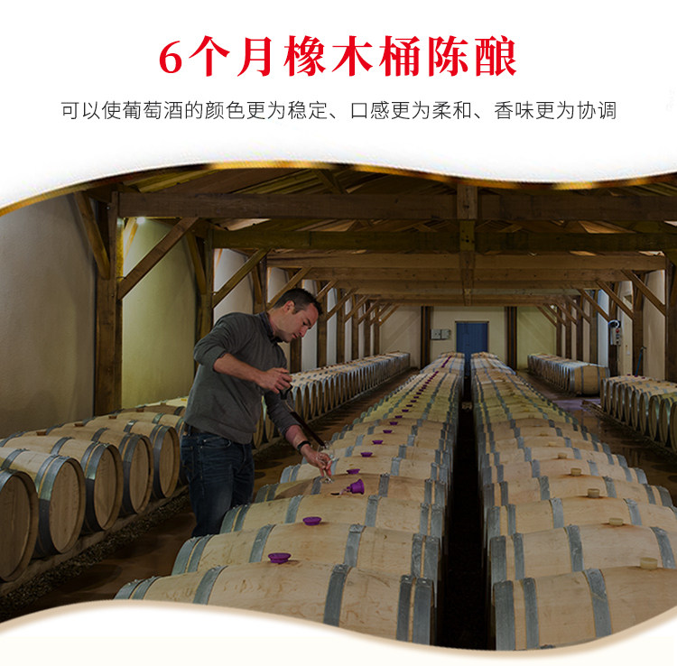 法国原瓶进口 拉蒙 波尔多AOC 布兰达酒庄甜白葡萄酒 750ml*2瓶 图6
