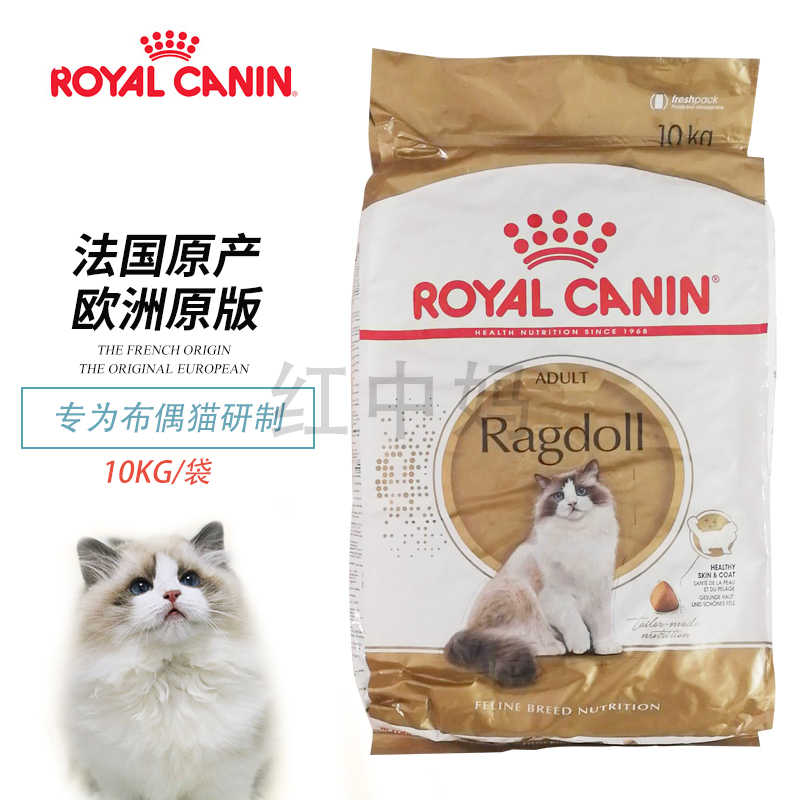 ragdoll 10kg