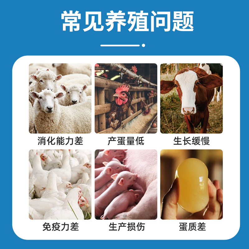 电解多维+浓缩鱼肝油粉：兽用维生素ADE，畜禽保健新潮流！