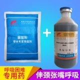 Птица куриная утиная утиная куриная утиная. Бедность. Бедность, чтобы дышать кашлем, храп, открытый рот и сделать меня тяжелыми заболеваниями