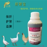 Печень и почки, курица, утка, голубиная птица, уход за печенью, почки, цветы почек и почки, подагра с почками, устранение токсиновых препаратов в организме