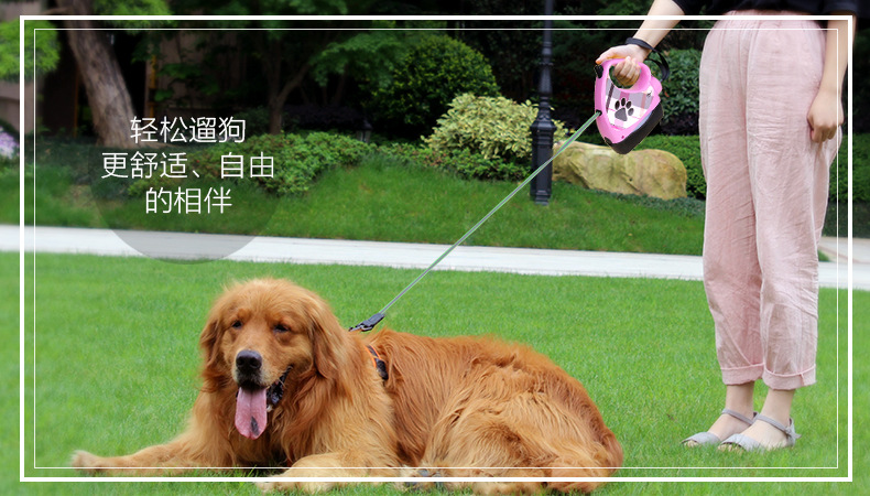 四合一牵引 (11)